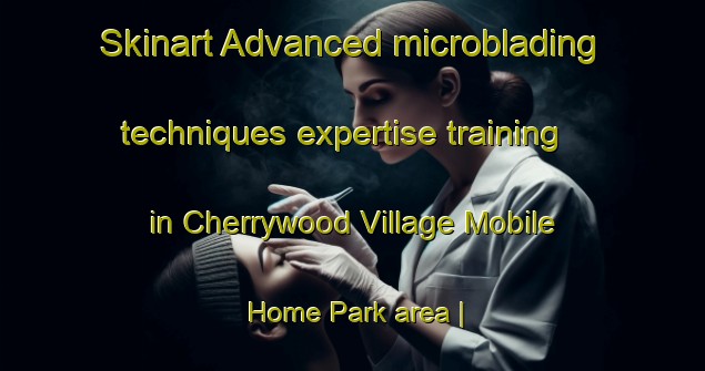 Skinart Advanced microblading techniques expertise training in Cherrywood Village Mobile Home Park area | MicrobladingTraining | MicrobladingClasses | SkinartTraining-United States